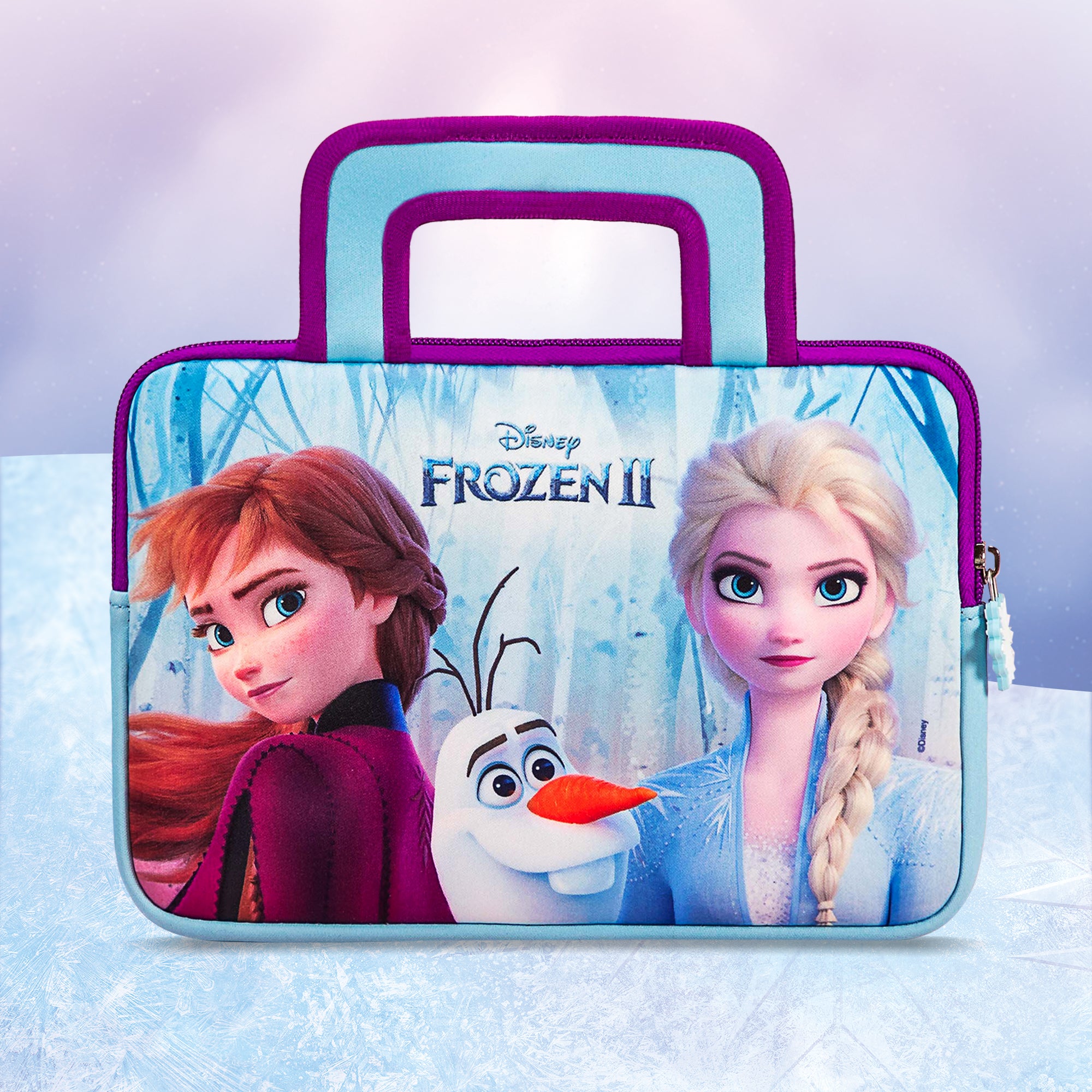 13 Disney Frozen 2 Gift Bag